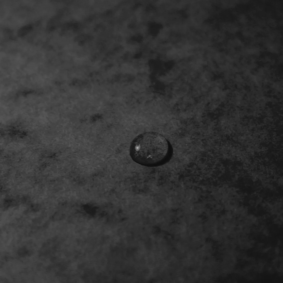 Boîte de classement A4 Dos 40 mm fermeture élastique carte lustrée Exabox - Noir - Boîtes archives, Boîtes de transfert-4