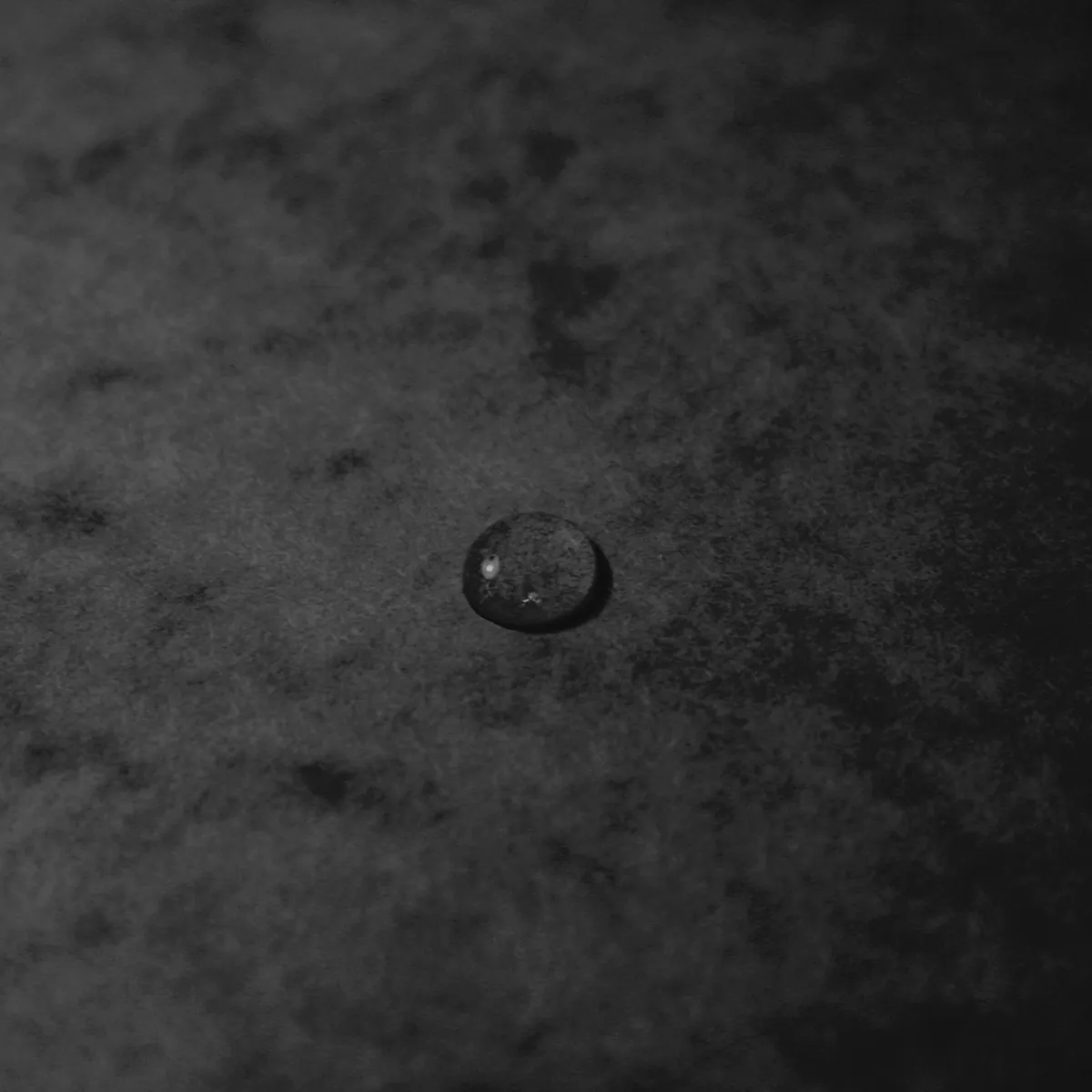 Boîte de classement A4 Dos 60 mm fermeture élastique carte lustrée Exabox - Noir - Boîtes archives, Boîtes de transfert-4