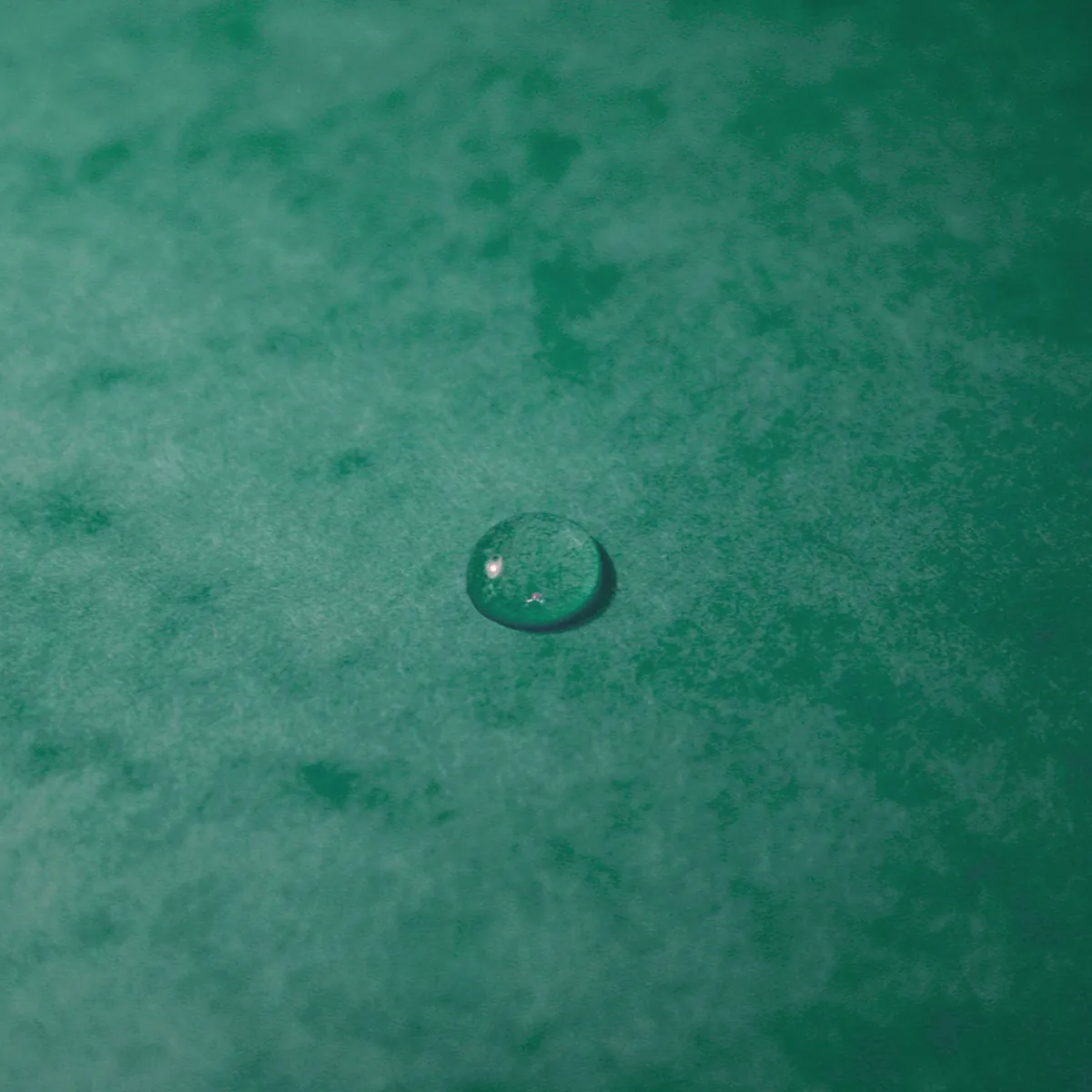 Boîte de classement A4 Dos 60 mm fermeture élastique carte lustrée Exabox - Vert - Boîtes archives, Boîtes de transfert-4