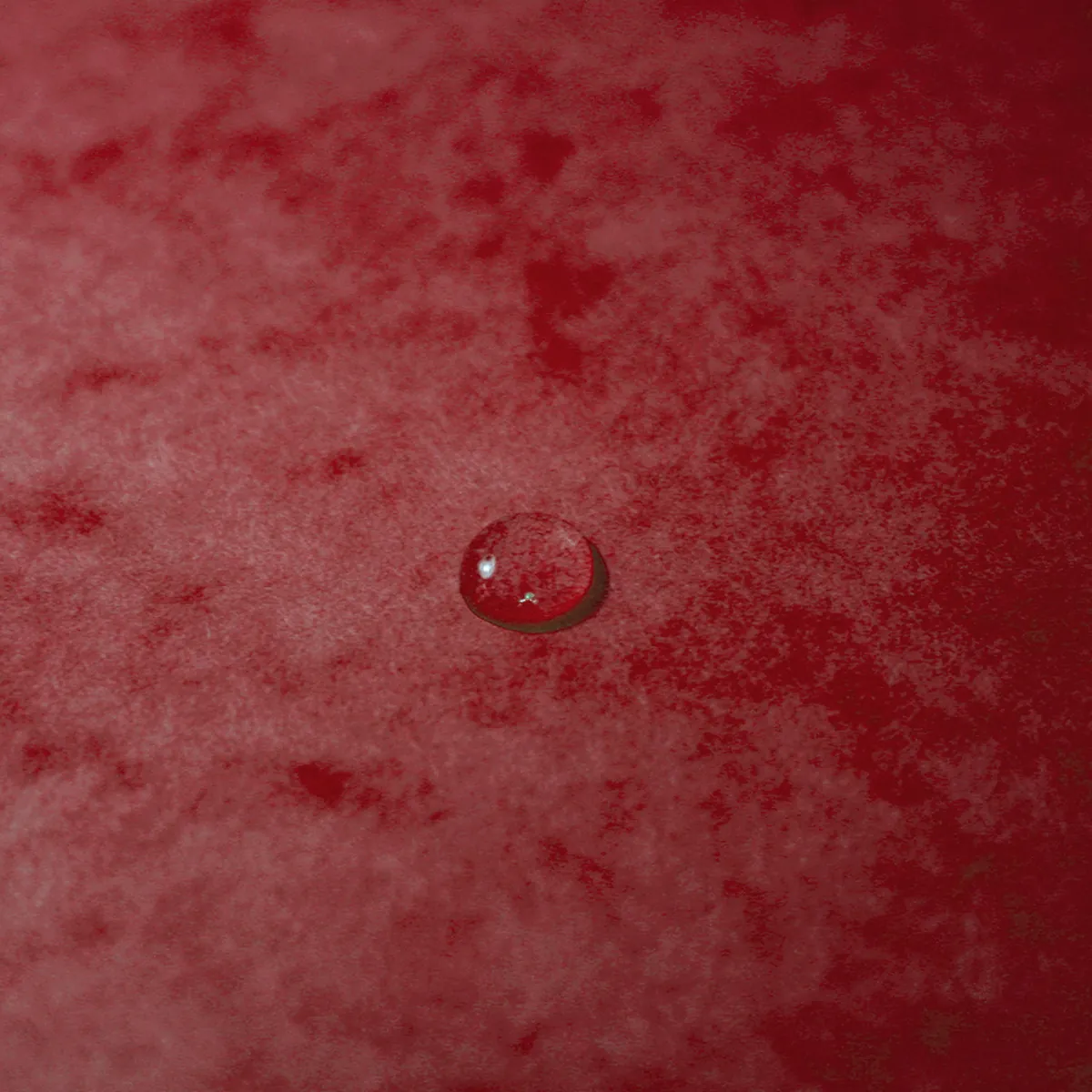 Boîte de classement A4 Dos 60 mm fermeture élastique carte lustrée Exabox - Rouge - Boîtes archives, Boîtes de transfert-4