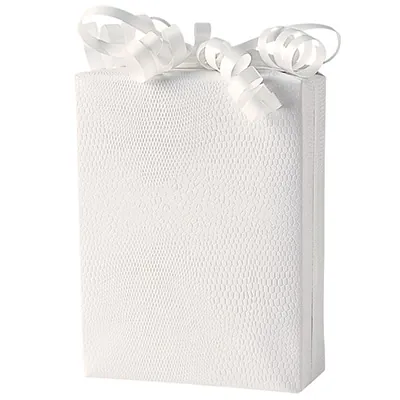 Papier cadeau texturé Lézard - Papiers cadeaux à effets-1