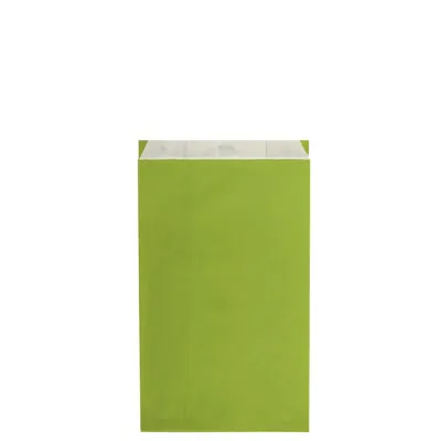 Pochette cadeau kraft vergé vert anis 16 x 8 x 27,5 cm - Sachet kraft - Lot de 250 - Pochettes cadeaux unies