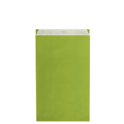 Pochette cadeau kraft vergé vert anis 18 x 6 x 33,5 cm - Sachet kraft - Lot de 250 - Pochettes cadeaux unies