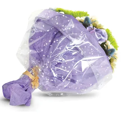 Film fleuriste - Film polypropylène Gypsophile 80 cm x 120 m 35µ - Films polypropylène à motifs-4