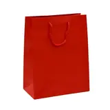 Sacs pelliculés brillants 