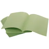 Chemises cartonnées