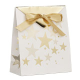 Pochettes cadeaux Étoiles - blanc / or - moyen modèle