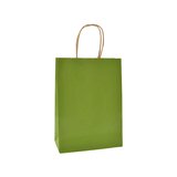 Sacs kraft vert olive poignées torsadées brunes 16x8x22cm – Paquet de 100