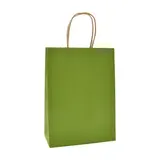 Sacs kraft vert olive poignées torsadées brunes 22x11x27cm – Paquet de 100