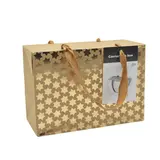 Boîte cadeau carton à poignées et étoiles or 23x11x16 cm - Valisette carton – Lot de 10