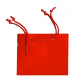 Sacs pelliculés brillants