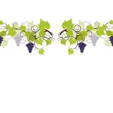 Vitrophanie électrostatique Vigne et Raisin