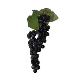 Grappes de raisin noir artificiel