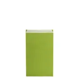 Pochette cadeau kraft vergé vert anis 12 x 4,5 x 21 cm - Sachet kraft - Lot de 250