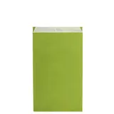 Pochette cadeau kraft vergé vert anis 18 x 6 x 33,5 cm - Sachet kraft - Lot de 250