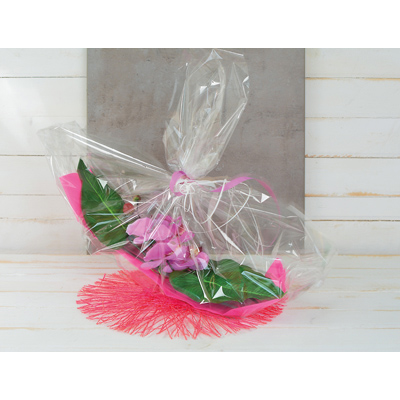 Film fleuriste - Film polypropylène transparent neutre 40µ 100 cm x 120 m - Films polypropylène neutres-1