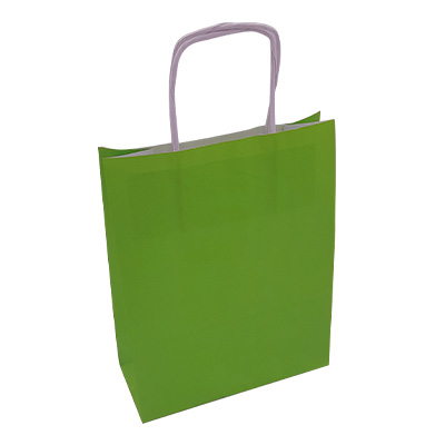 Sac kraft vert amande à poignées torsadées 19+8x24cm 90g/m² (x50) - Sacs kraft couleur poignées torsadées