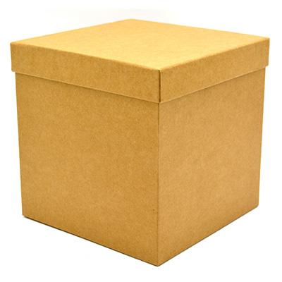 Boîte carrée kraft à couvercle amovible - 20 x 20 x 20 cm - Boites cloches