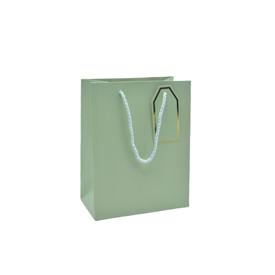 Sac pelliculé vert mat poignées cordelettes 12+7x15 cm 210g/m² – Paquet de 20 - Sacs pelliculés poignées cordelette