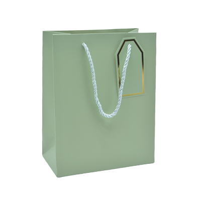 Sac pelliculé vert mat poignées cordelettes 26+12x32 cm 210g/m² – Paquet de 20 - Sacs pelliculés poignées cordelette