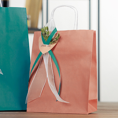 Sac kraft Terre de Sienne à poignées torsadées 19+8x23,5cm 90g/m² (x50) - Sacs kraft couleur poignées torsadées-1