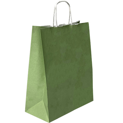 Sacs kraft vert tilleul à poignées torsadées 36+13x44,5cm 90g/m² (x50) - Sacs kraft couleur poignées torsadées