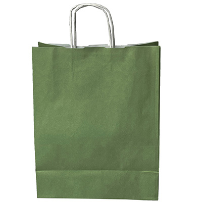 Sacs kraft vert tilleul à poignées torsadées 36+13x44,5cm 90g/m² (x50) - Sacs kraft couleur poignées torsadées-1