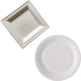 Assiettes jetables, Assiettes plastique réutilisables
