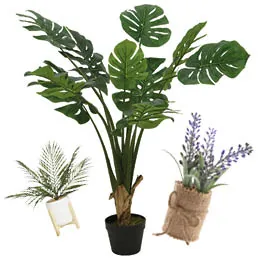Plantes et Fleurs artificielles