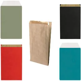 Pochettes cadeaux unies